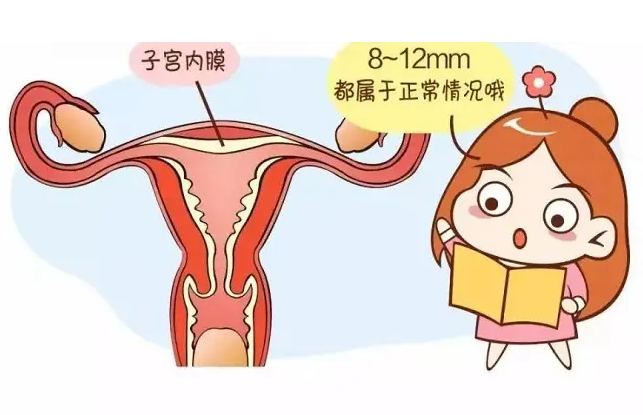 子宫内膜薄是否影响备孕？子宫内膜薄应该注意